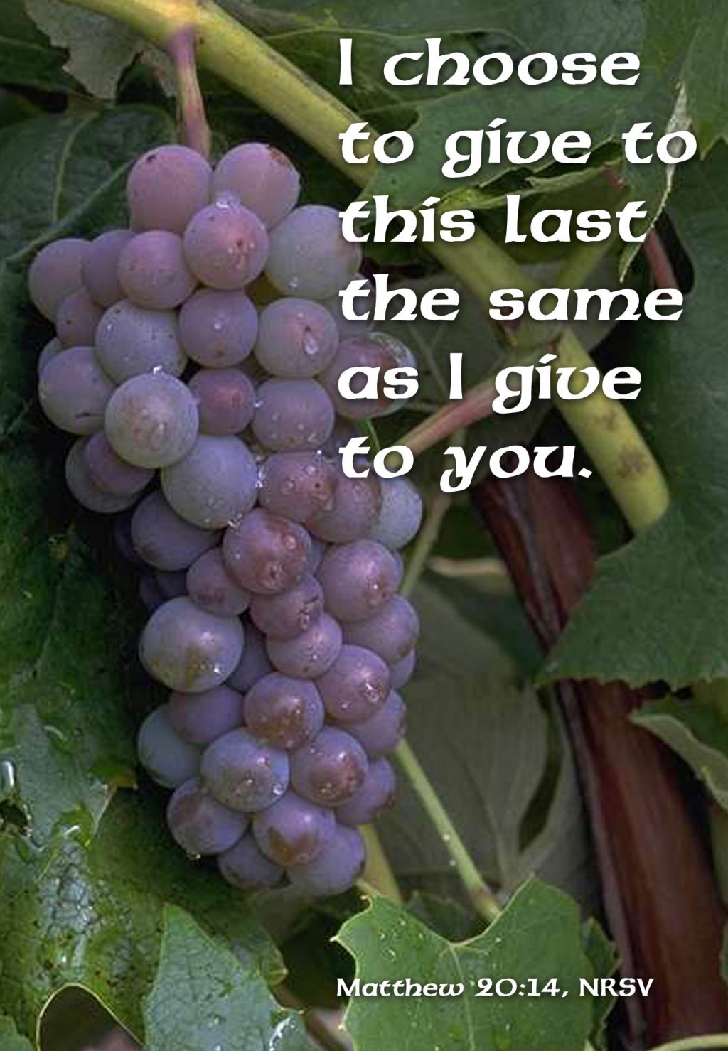 image-894664-9-6-c20ad.jpg